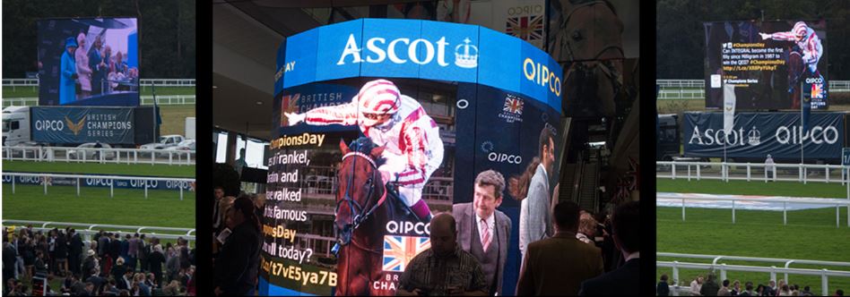 Great British Racing social wall displays Royal Ascot 